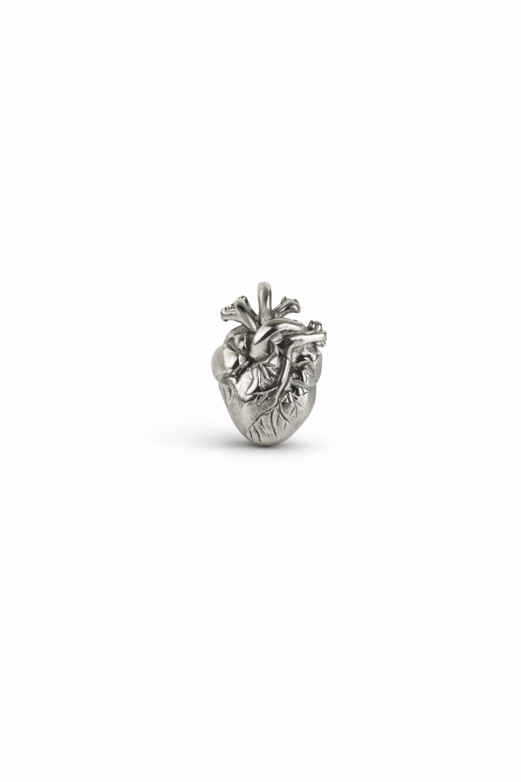 ANATOMICAL HEART