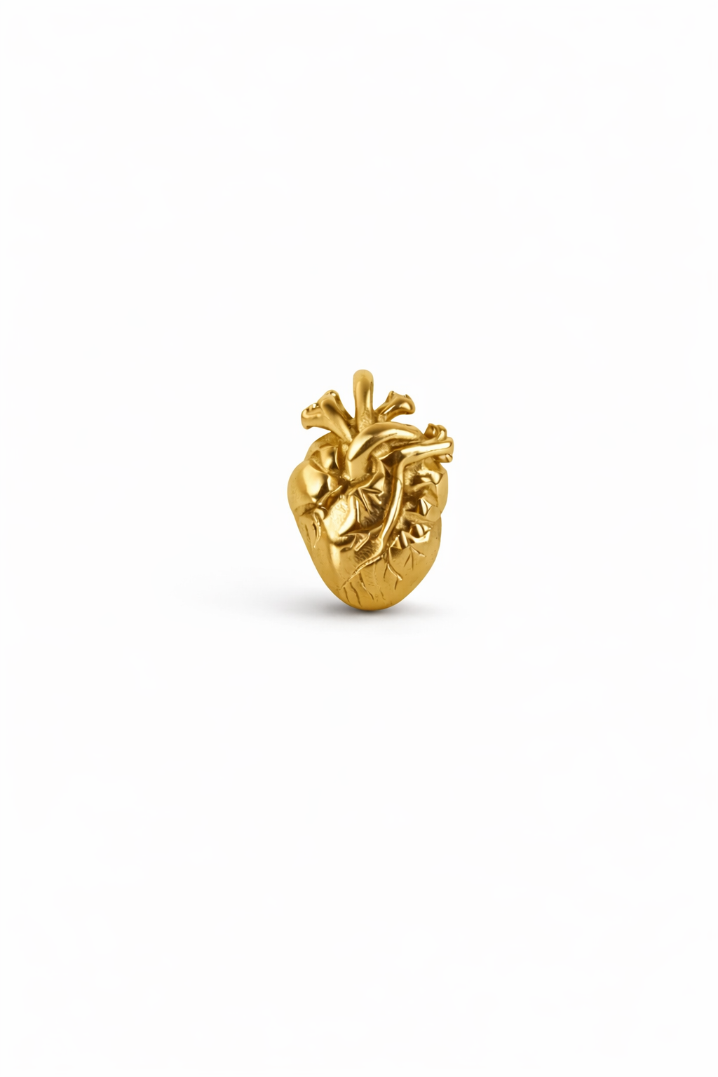 ANATOMICAL HEART